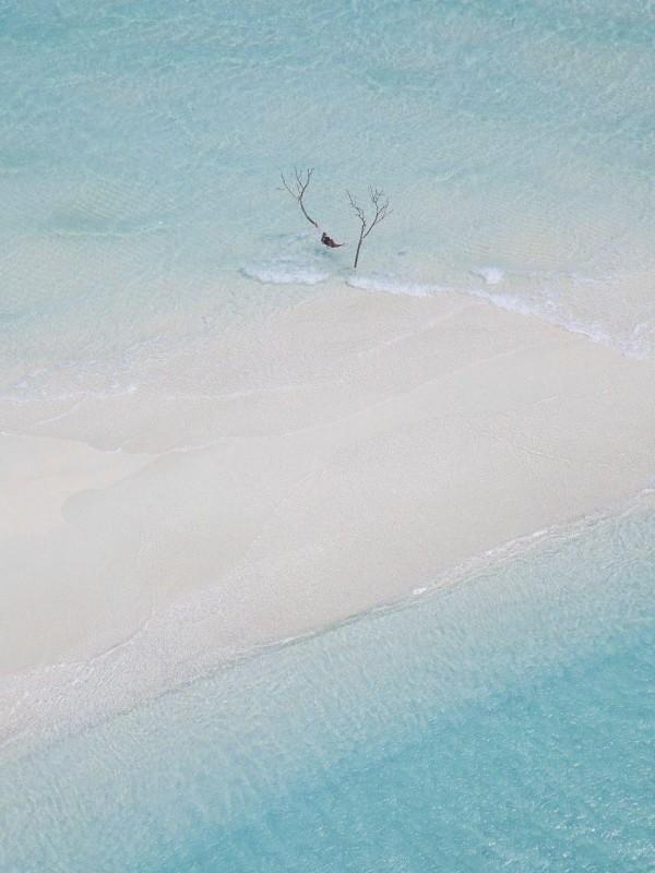 重生后送前男友坐牢